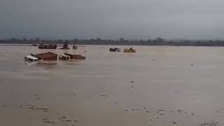 महानदी उफान पर | Chhattisgarh Mahanadi Rescue | High rain in Chhattisgarh