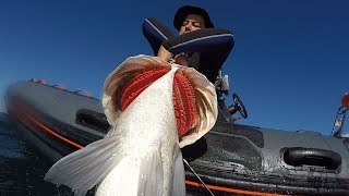 Underwater fishing with Jose Miguel Lopez Corrales TEAM PHATOS vol2 mp4