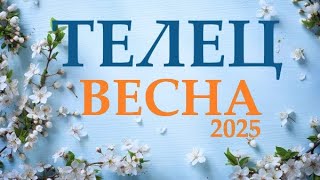 ТЕЛЕЦ ♉ВЕСНА 2025🌞 таро прогноз/гороскоп на март 2025/ апрель 2025/ май 2025/  “открытые двери”