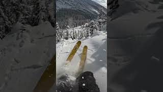 Dodging Trees in the Canadian Backcountry 🎬 Baker Boyd #Shorts #Ski