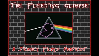 The Fleeting Glimpse promo