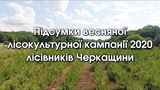 Весняна лісокультурна кампанія 2020 лісівників Черкащини