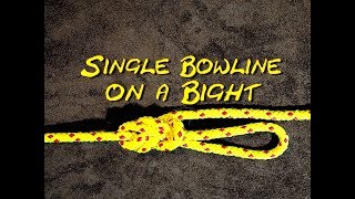 Single Bowline on the Bight - How to Tie a Single Bowline on the Bight 🛠