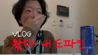 (VLOG) 솔로지옥 도파민 충전 완료 , 요리하고 , 청첩장 모임 다녀오기 ( 구독자 천명 감사합니다 🫶 )