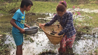 Beautiful Girl Fishing With Cambodia Traditional Trap - How beautiful Girl Catch Fish