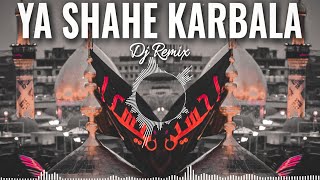 Ya Shahe Karbala Dj Remix Muharram Qawwali || मुहर्रम की नई डीजे कव्वाली || Dj Mix Muharram Qawwali