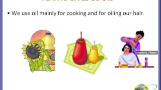 Second class EVS Uses of Plants video lesson|EVS worksheets for grade 2 link in desc