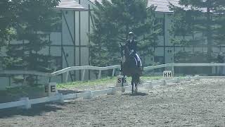 第58回全日本学生馬術女子選手権大会　準決勝 馬場馬術競技 6番 Vブロック 小幡千奈津選手×ジョニーハーバード号