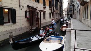 Venice Gondolas and Serenading