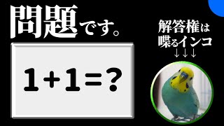 インコが答えるまで終われないクイズ【スプラトゥーン３】