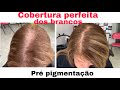 Como cobrir os cabelos brancos/pré pigmentação