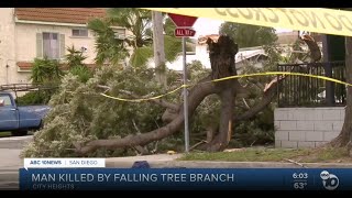 Man killed by fallen tree branch in City Heights
