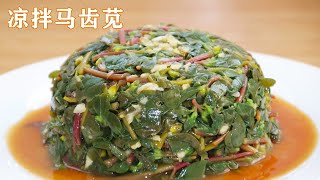 凉拌馬齒莧|馬齒莧的家常做法，農村野菜全身都是宝，上火多吃清熱解毒 Portulaca oleracea【有一道美食】