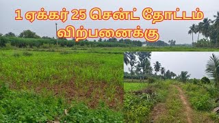 1 ஒரு ஏக்கர் 25 சென்ட் தோட்டம் விற்பனைக்கு - ஈரோடு மாவட்டம்