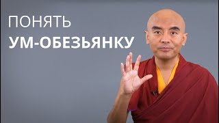 Понять ум-обезьянку — Йонге Мингьюр Ринпоче