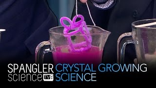 Crystal Growing Science - Cool Science Experiment