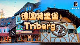 4K【🇩🇪VLOG 44】Discover the Black Forest of germany with me - Triberg #blackforest #triberg