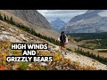Grizzly Bear Encounter on Siyeh Pass Trail in Glacier National Park
