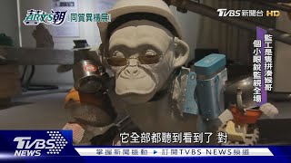 【藝文潮】同質異構清大展出 林育正胡縉祥聯展｜TVBS新聞@TVBSNEWS01