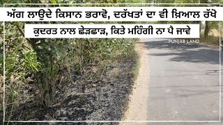 ਕਿਸਾਨ ਭਰਾਵੋ ਦਰੱਖਤਾਂ ਦਾ ਖ਼ਿਆਲ ਵੀ ਰੱਖੋ 5 May 2022 #punjab #punjabland #mintuuppal