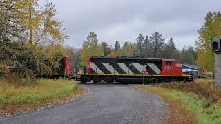 CN Zebra Stripes and a Beautiful P5 in Herman, MI