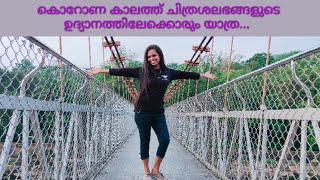 തുമ്പൂർമുഴി തൂക്കുപാലം/ butterfly garden/ Athirappilly Water Falls/Thrissur/ Thumboormuzhy Dam..