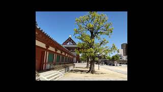 大阪　四天王寺　Osaka Shitennoji