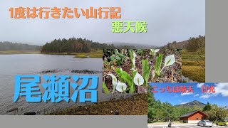 【尾瀬沼】悪天候の尾瀬沼で水芭蕉を楽しむ！帰りは日光へ寄り道🚗