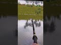 Русская Рыбалка 4 Села Белуга 300кг + #rf4 #russianfishing4 #рр4