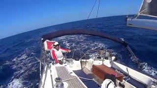 Sailing in Malta next to dolphins: Bavaria 50 Vision