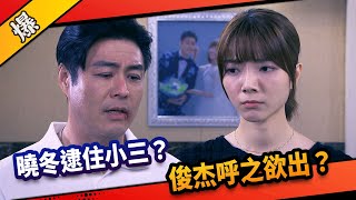 《八點檔搶先爆》市井豪門 EP261 曉冬逮住小三？ ”俊杰”呼之欲出？