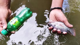 Amazing Boy Catching Fish by Plastic Bottle Fish Trap | Native Villagers