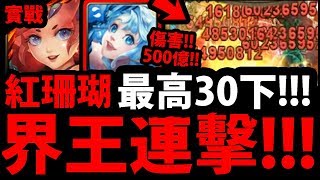 【神魔之塔】紅珊瑚實戰『妖精最強界王連擊！』最高30下總追打！破500億傷害！【瑩潤探索 ‧ 紅珊瑚實戰】【阿紅實況】