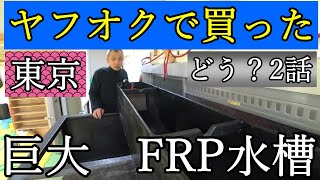 【水槽選びのポイント】ヤフオクで買った話題のFRP水槽の正直な感想【2話】