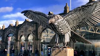 Discover Allen the Peregrine Falcon: An Ikea Allen Key Masterpiece in Sheffield by Jason Heppenstall