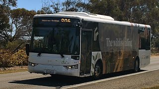 Link SA 576 on Murray Bridge 806