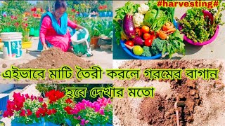 গরমের বাগানের মাটি তৈরী//এইভাবে মাটি তৈরী করে রাখুন গাছ ভালো হবেই//সাথে রইলো হারভস্টিং//