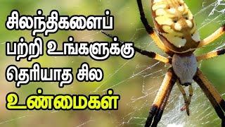 Some interesting and unknown facts about Spiders