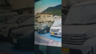 車椅子マークの悪質車常習車