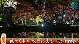 色付く木々 水面に映え　益子 円通寺