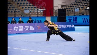 Men's Nanquan 男子南拳 第2名 四川队 李付魁 9.68分 si chuan li fu kui 2017年全国武术套路锦标赛