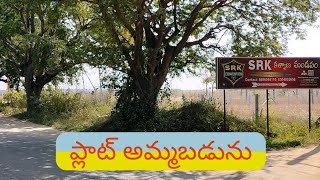 Plot For Sale In Madanapalli #viralvideo