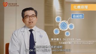 Understanding Chemotherapy 瞭解化學治療 | CANCER TREATMENT SERIES癌症治療系列