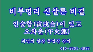 042 인술합寅戌合이 있고 오화운午火運, 비부명리 신살론