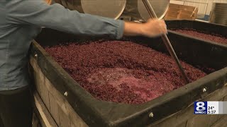 'It impacts all small businesses:' How imposed tariffs are challenging the wine industry