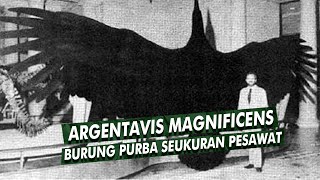 Burung Predator Purba Terbesar Yang Mampu Terbang | Argentavis