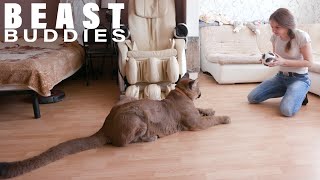 We Share Our Studio Flat With A Cougar | BEAST BUDDIES