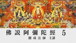 [Mandarin] 中文字幕 佛說阿彌陀經 - 國語普通話 - 第五講 - 觀成法師主講