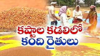 అనంతపురం జిల్లాలో కంది రైతులకు గడ్డుకాలం | Kandi Farmer' Facing Problems | Anantapur Dist