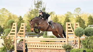 Zo Beauty, Wec Ocala V (WCHR week), February 2025, 3'3 junior hunters 16-17, score 83.75, 4th place.